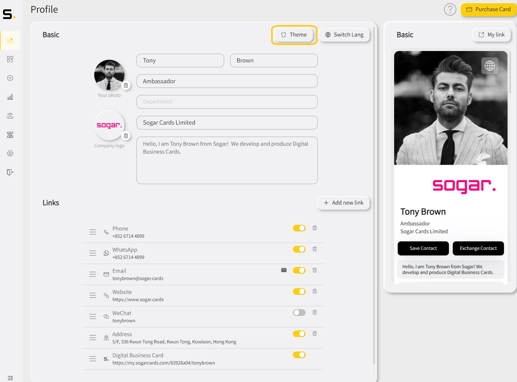 Theme button
