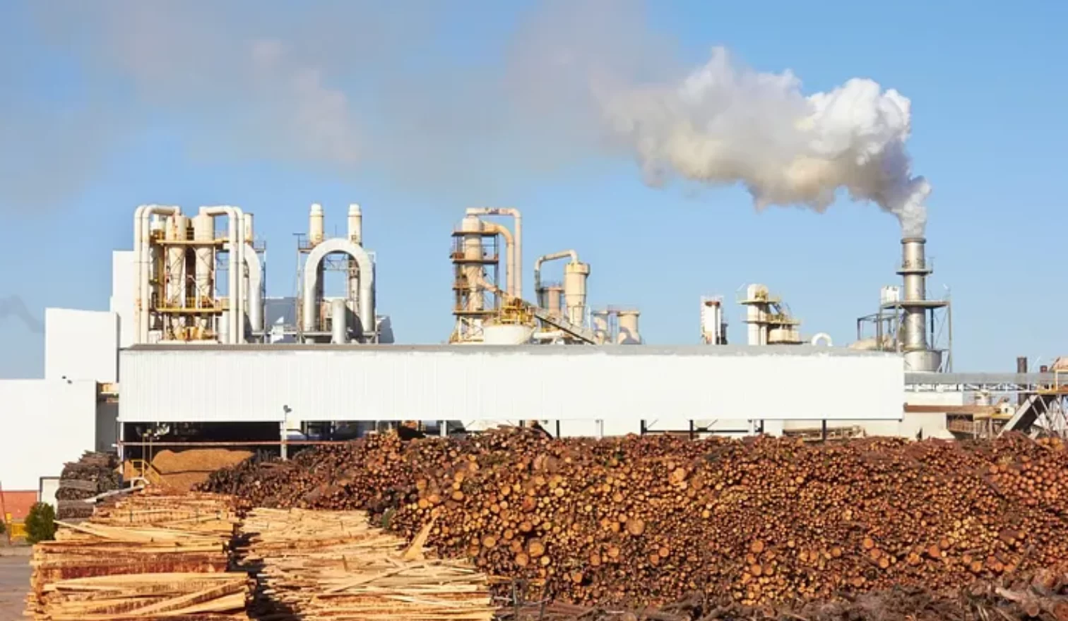 factory and wood